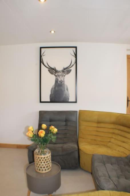 Chalet Avenir Saint-Jean-dʼAulps Eksteriør bilde
